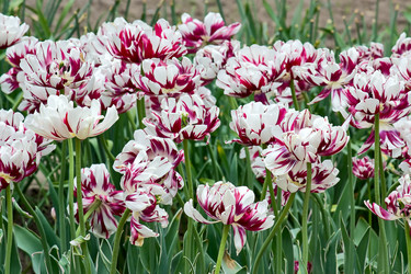 Similar image 824424