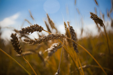 Similar image 824462