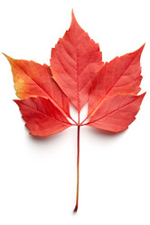 Similar image 824503