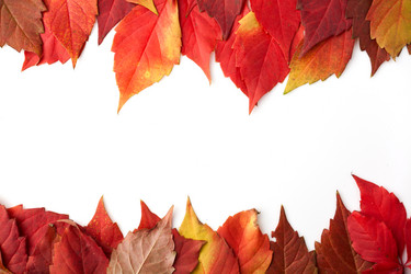 Similar image 824519