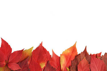 Similar image 824520