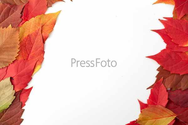 Рамка из осенних листьев рамки для текста фото поздравления скачать картинки онлайн шаблон