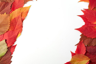 Similar image 824518