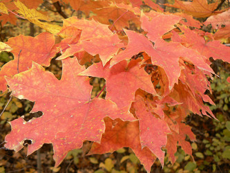 Similar image 824735