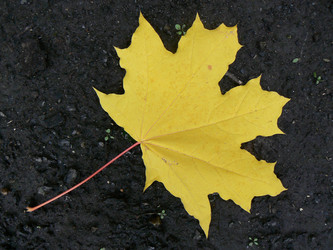 Similar image 824736