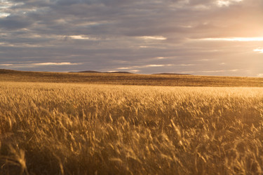 Similar image 824739