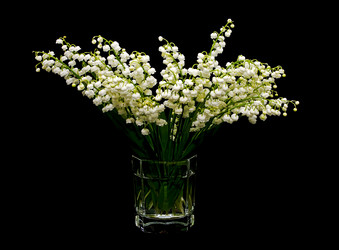 Similar image 824743