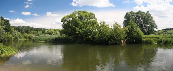 Similar image 824765