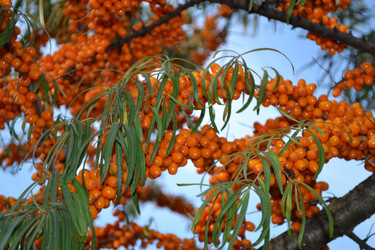 Similar image 824792