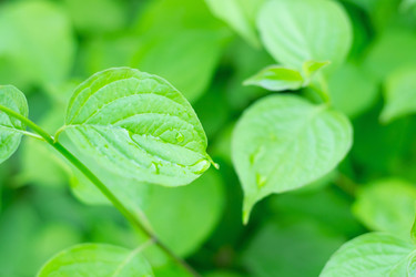 Similar image 824846