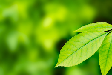 Similar image 824857