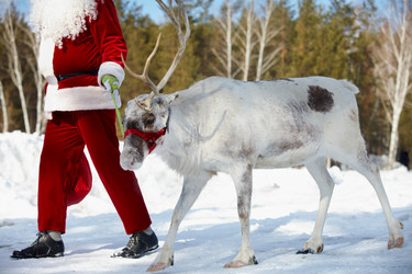 Similar image 824869