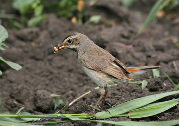 Similar image 824895