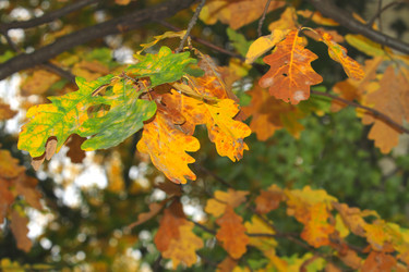 Similar image 824897