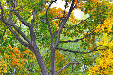 Similar image 824907