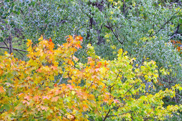 Similar image 824906