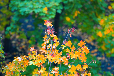 Similar image 824908