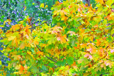 Similar image 824909