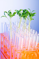 Similar image 824915