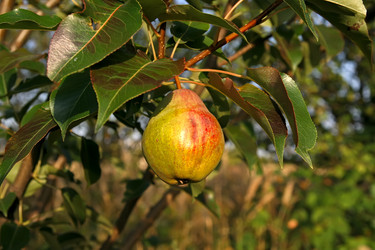 Similar image 824924