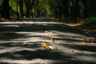 Similar image 824931