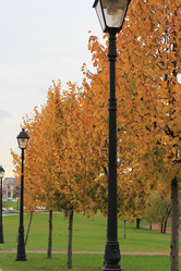 Similar image 824941