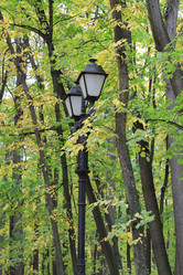 Similar image 824944