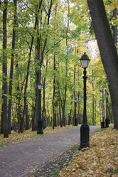 Similar image 824945