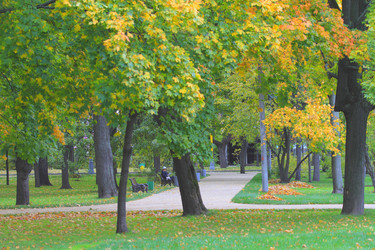 Similar image 824971