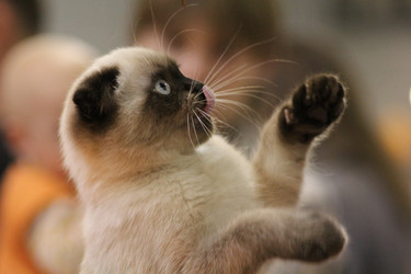 Similar image 825007