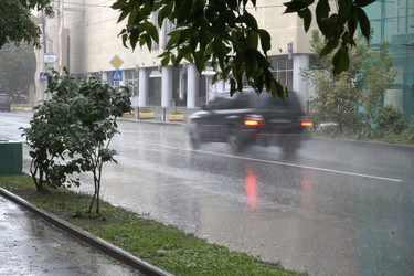 Similar image 825010