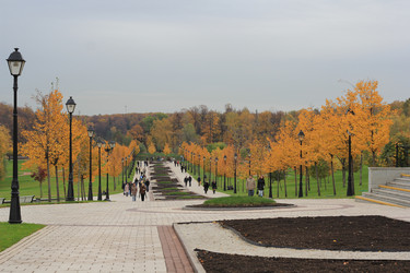 Similar image 825013