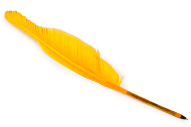 Similar image 825028