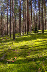 Similar image 825042