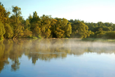 Similar image 825044