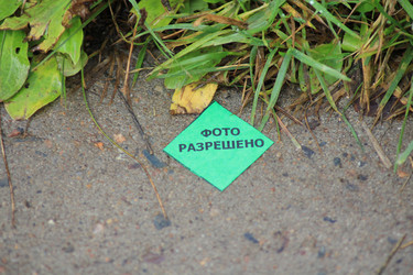 Similar image 825045