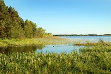 Similar image 825046