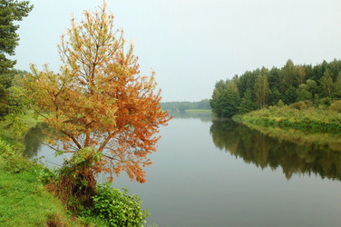 Similar image 825048