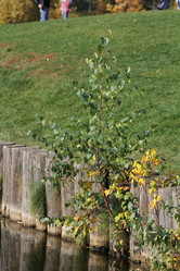 Similar image 825049