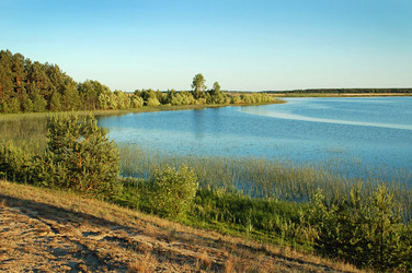 Similar image 825062