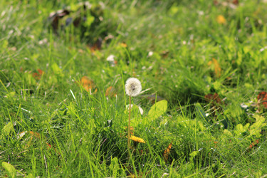 Similar image 825064