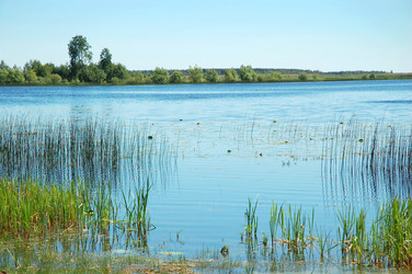 Similar image 825065