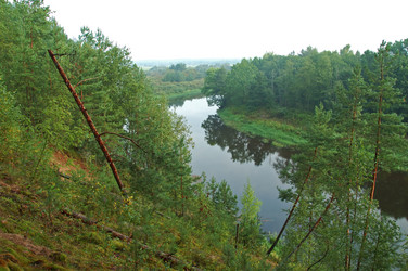 Similar image 825075