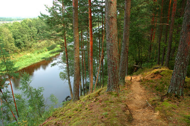 Similar image 825076