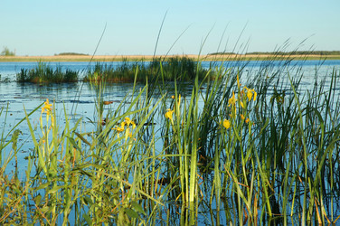 Similar image 825093