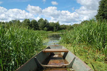 Similar image 825096