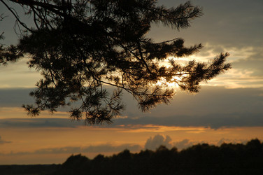 Similar image 825102