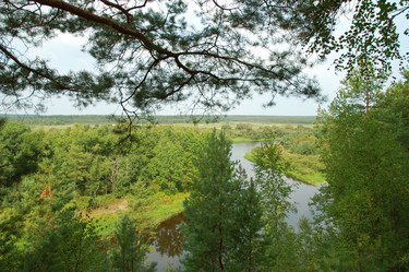 Similar image 825104