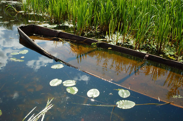 Similar image 825106