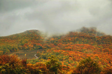 Similar image 825111